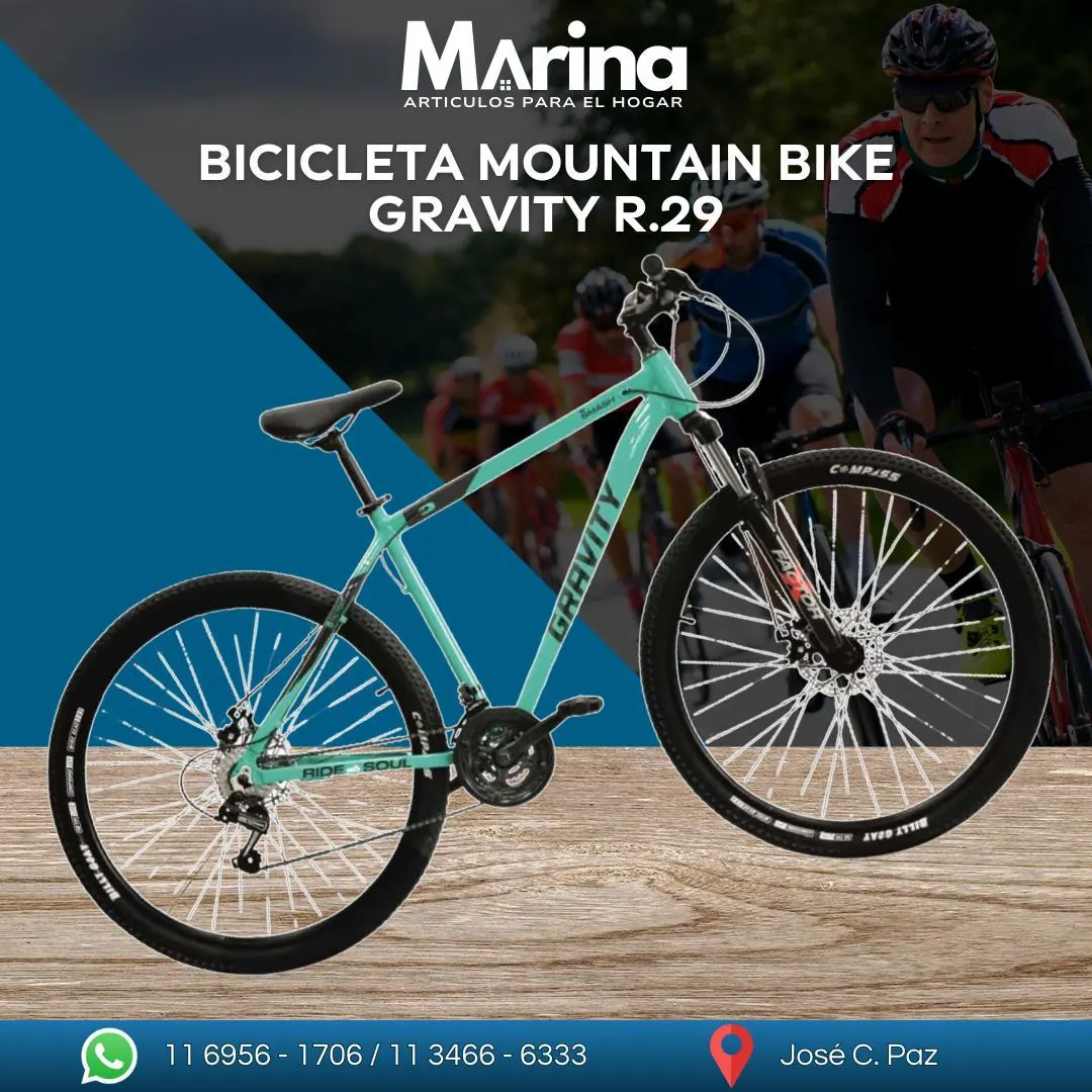 Bicicleta Mountain Bike Gravity R29